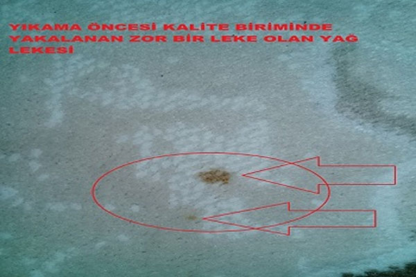 Halı Yıkama
