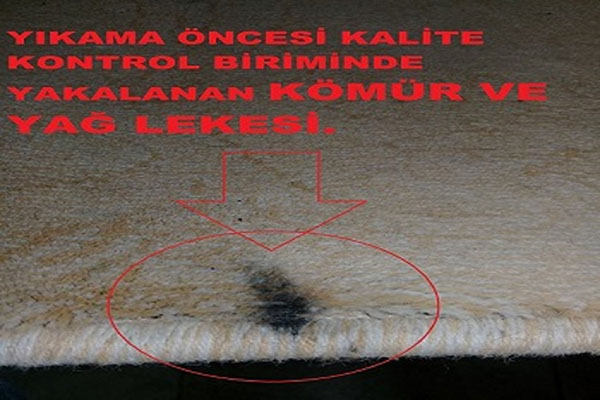 Halı Yıkama