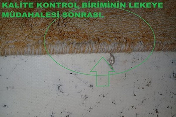 Halı Yıkama